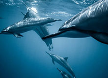 开云体育：照亮运动生活的新纪元